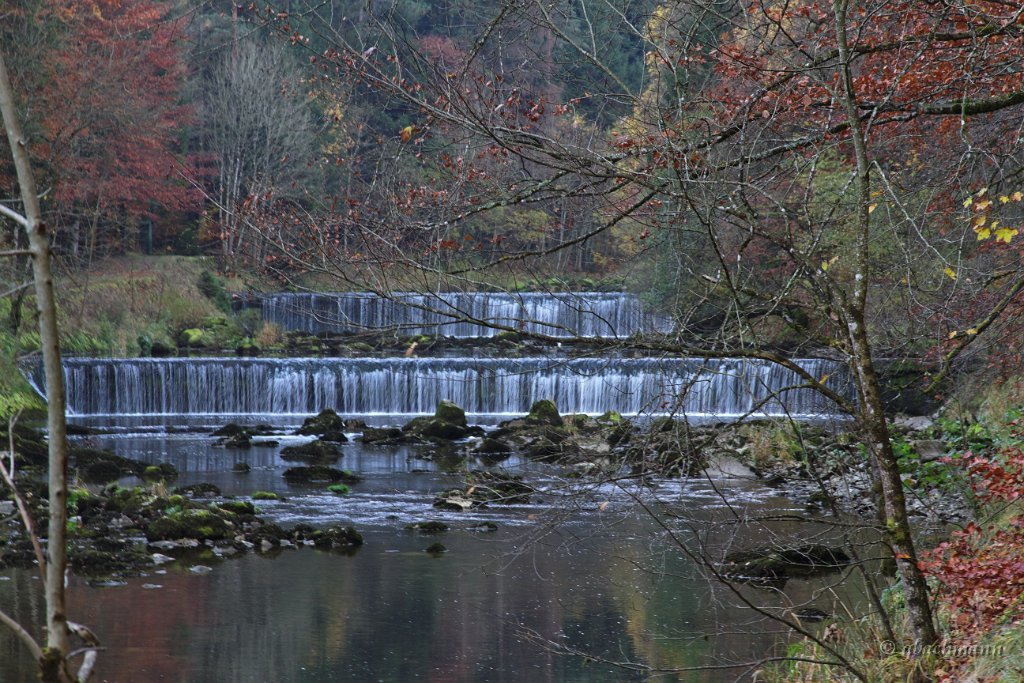 20101030_079
